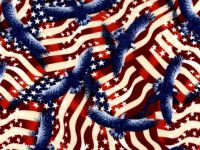 Cotton Fabric - Patriotic Flags Eagles - Beachside Knits N Quilts